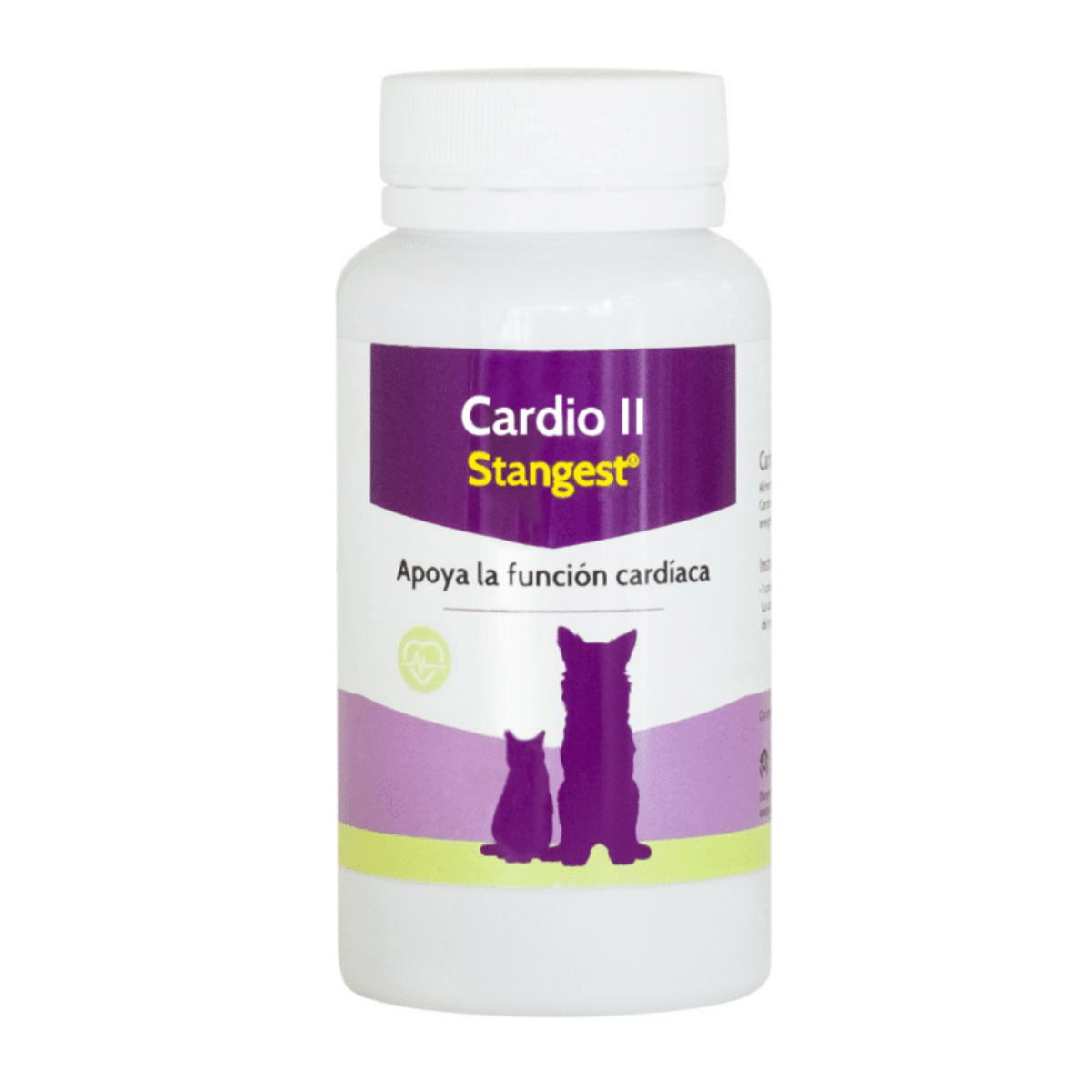Cardio II L carnitina Stangest