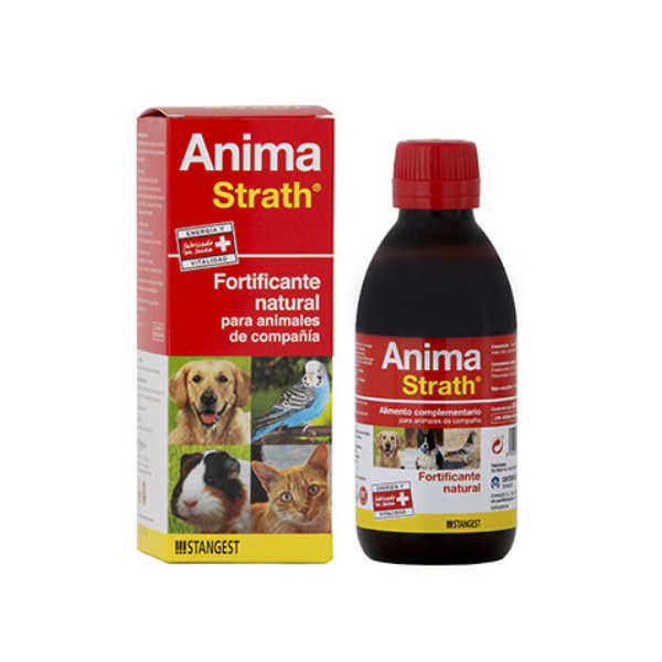 Anima Strath 100