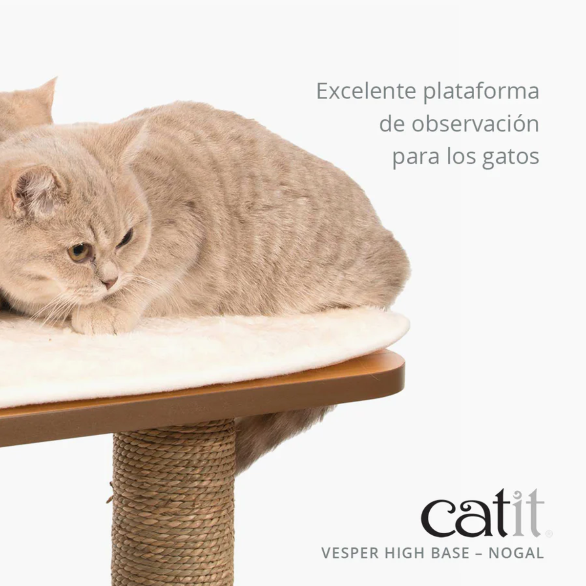 Árbol rascador para gatos Catit Vesper negro