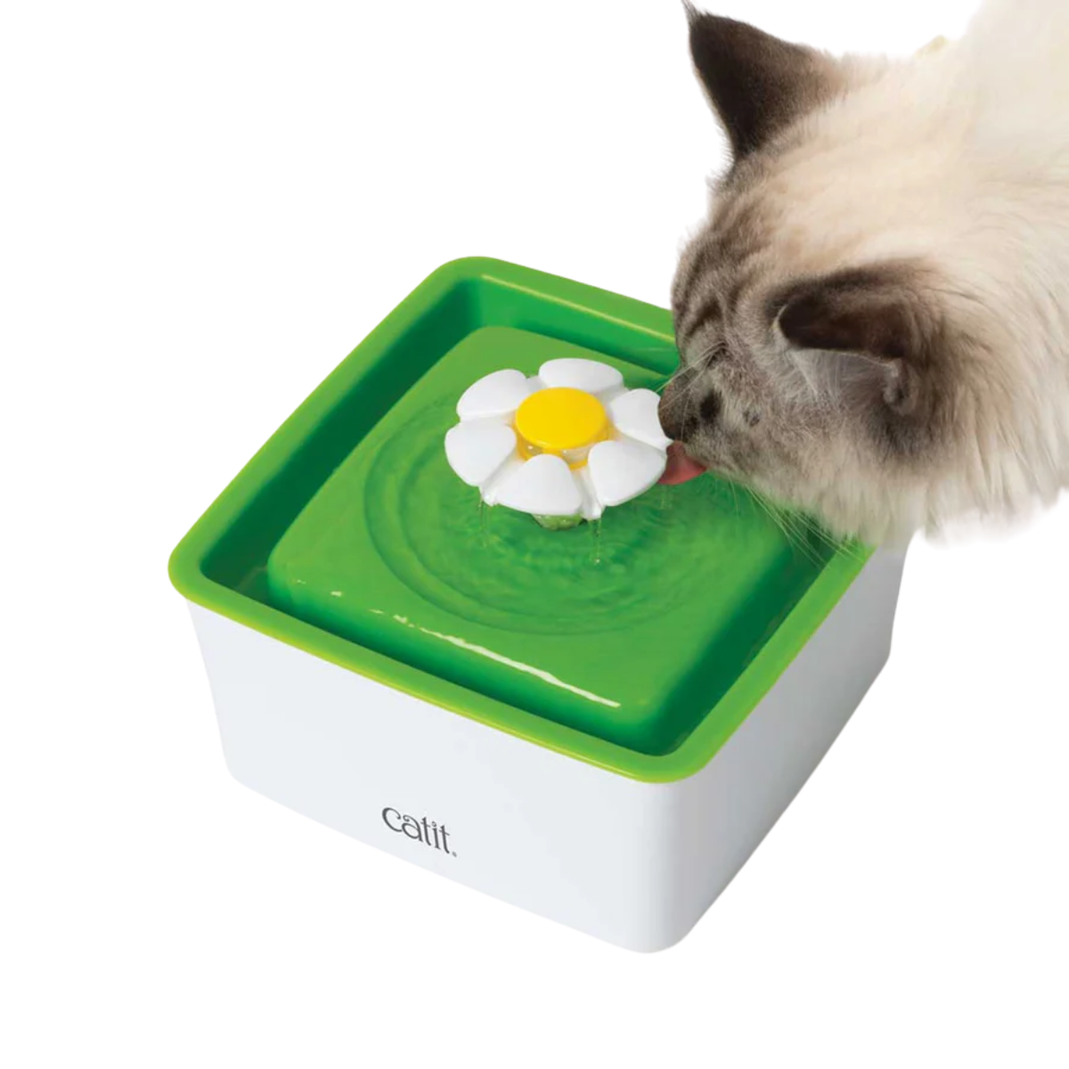 Mini fuente pixi catit