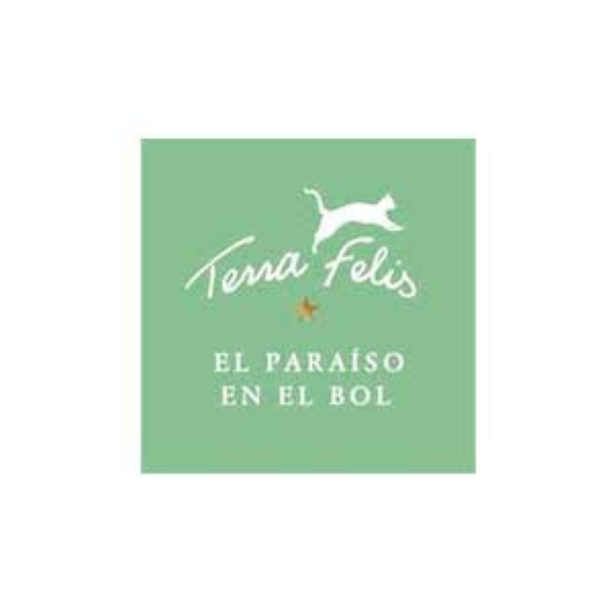 TERRAFELIS LOGO