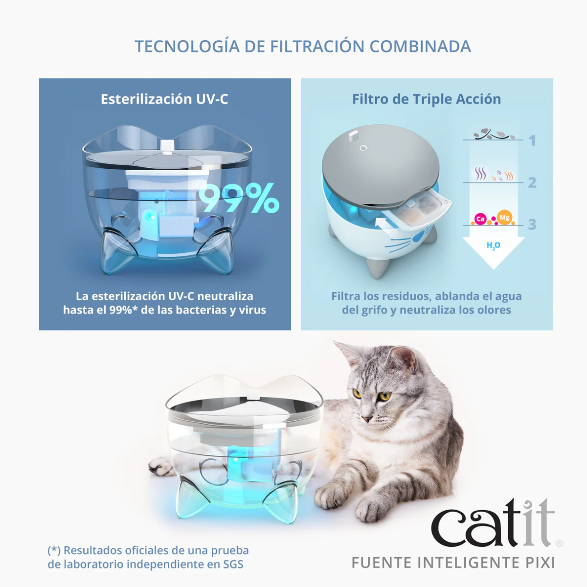 pixi fuente inteligente
