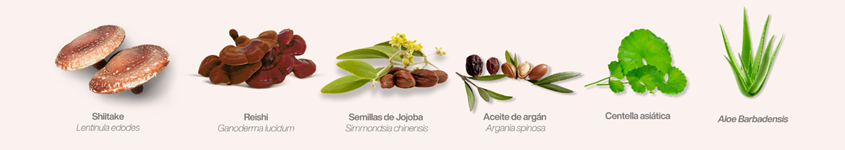 HIFAS DERMAPET UNIVERSO MICHI
