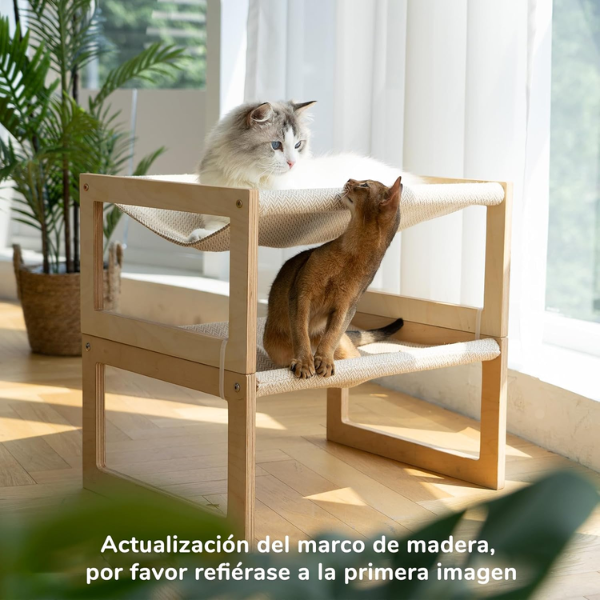 Fukumaru cama robusta