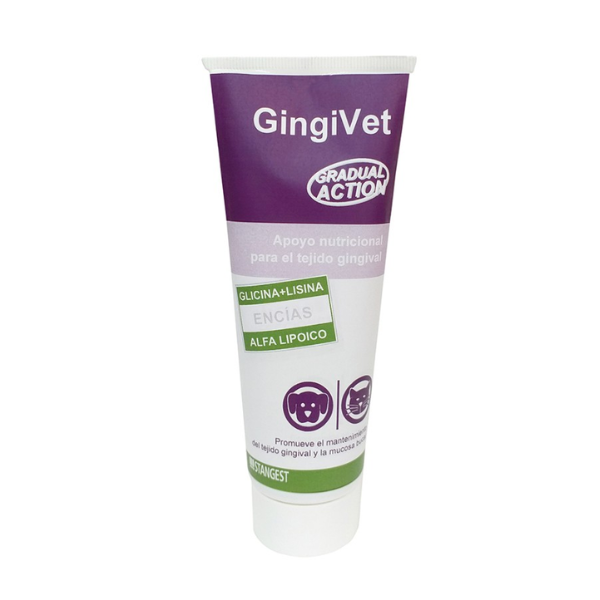 gingivet stangest