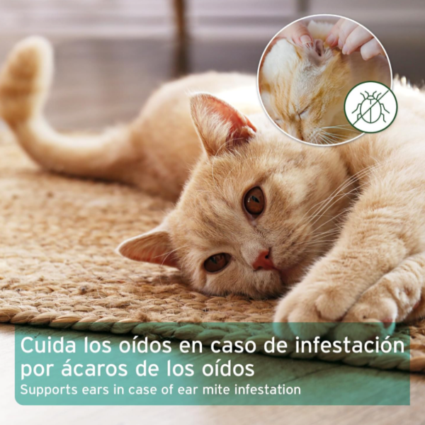 aceite oido acaros aniforte