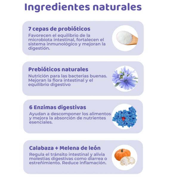 doog life probiotic