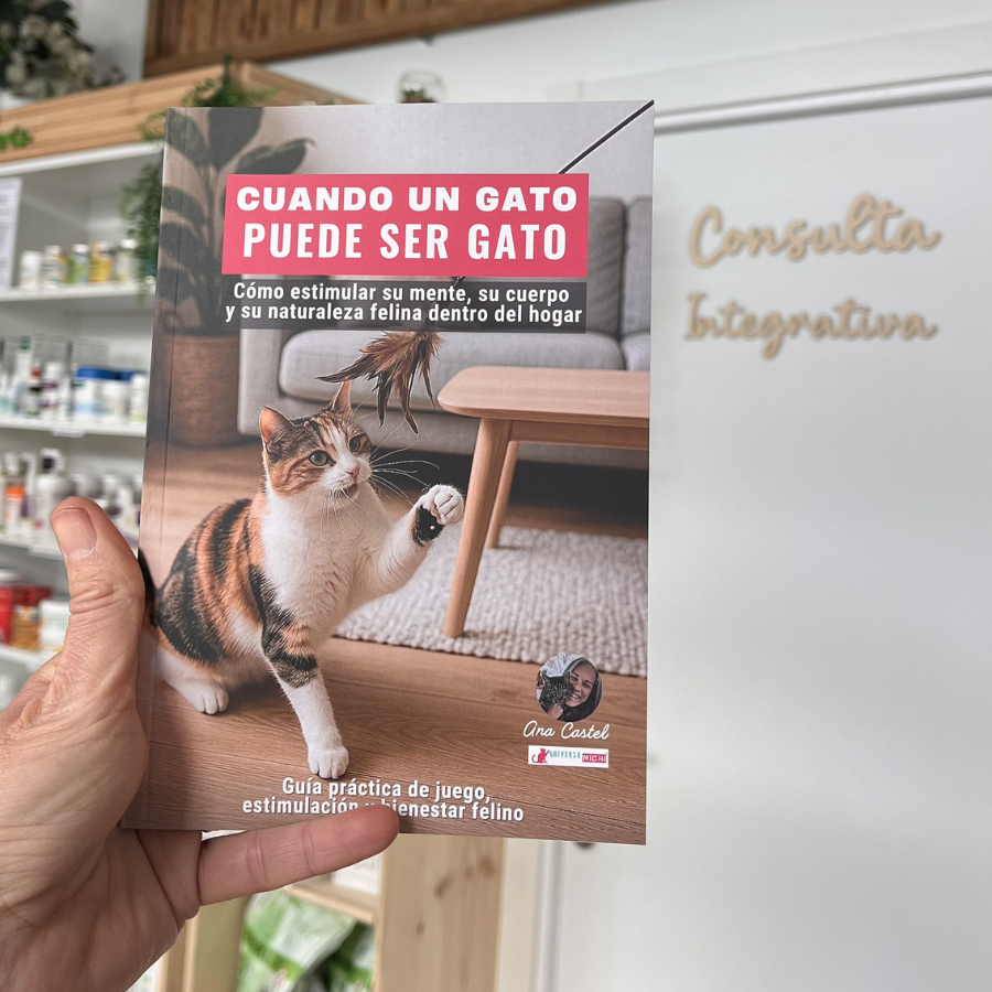 guia física cuando un gato puede ser gato
