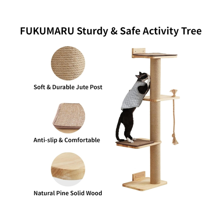 arbol fukumaru pared